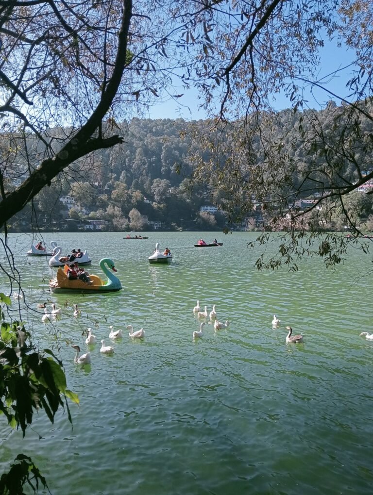 nanital